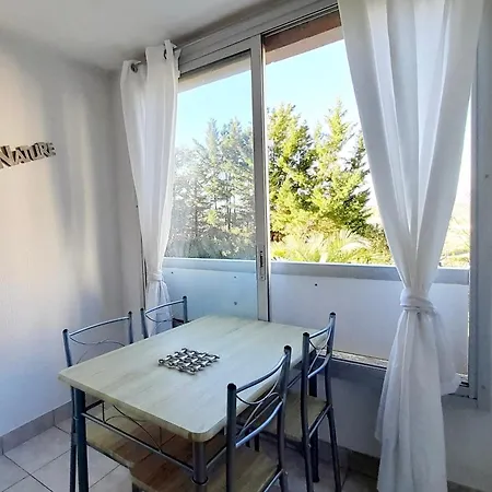 Le Lagon Bleu Piscine Et Tennis Appartement Fréjus
